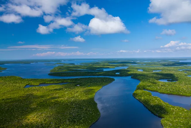 Scenic landscape of Everglades National Park, Florida.