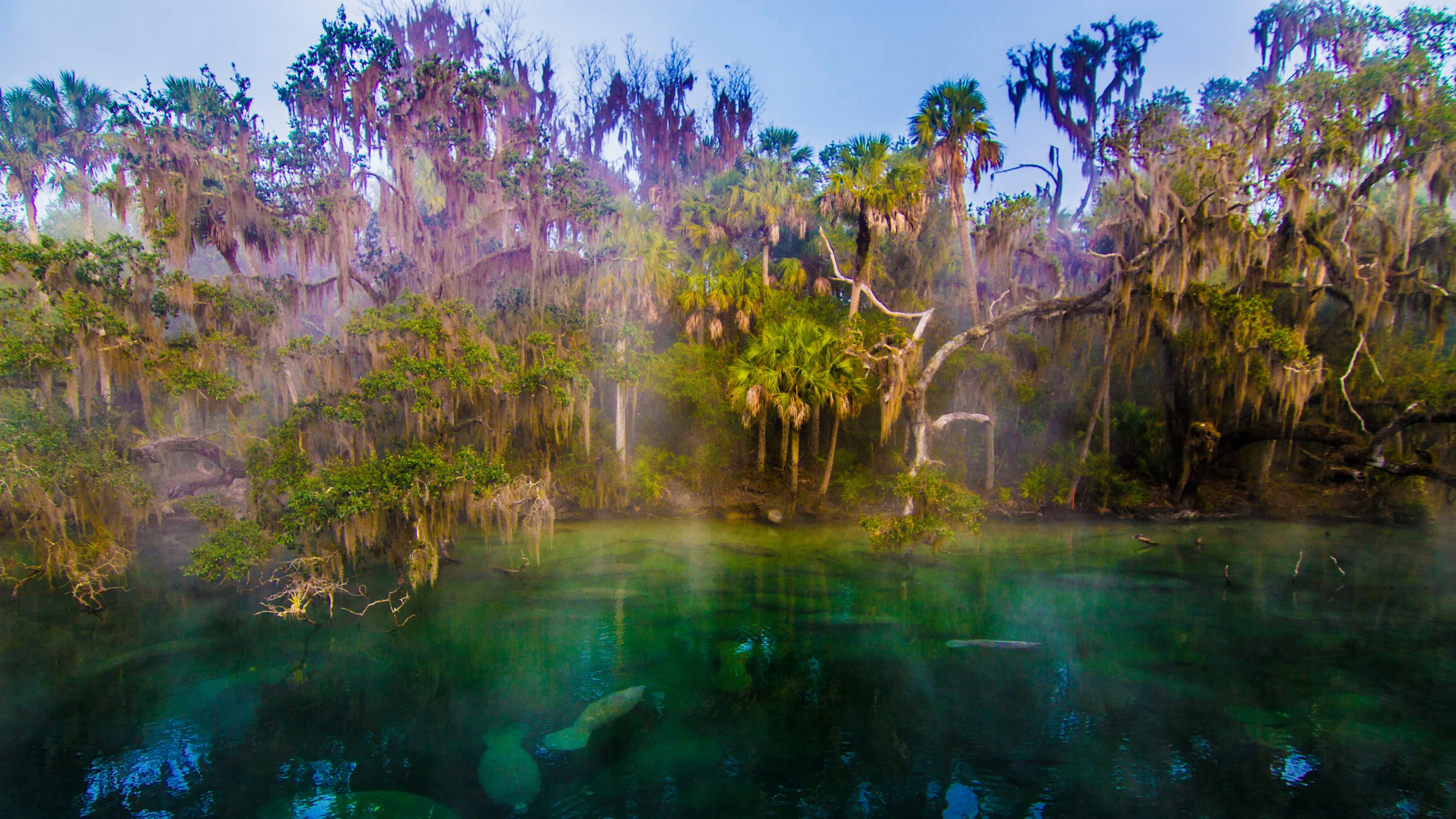 Florida scenic hero image